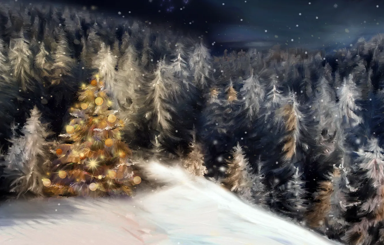 Фото обои зима, лес, снег, ночь, праздник, елки, елка, новый год