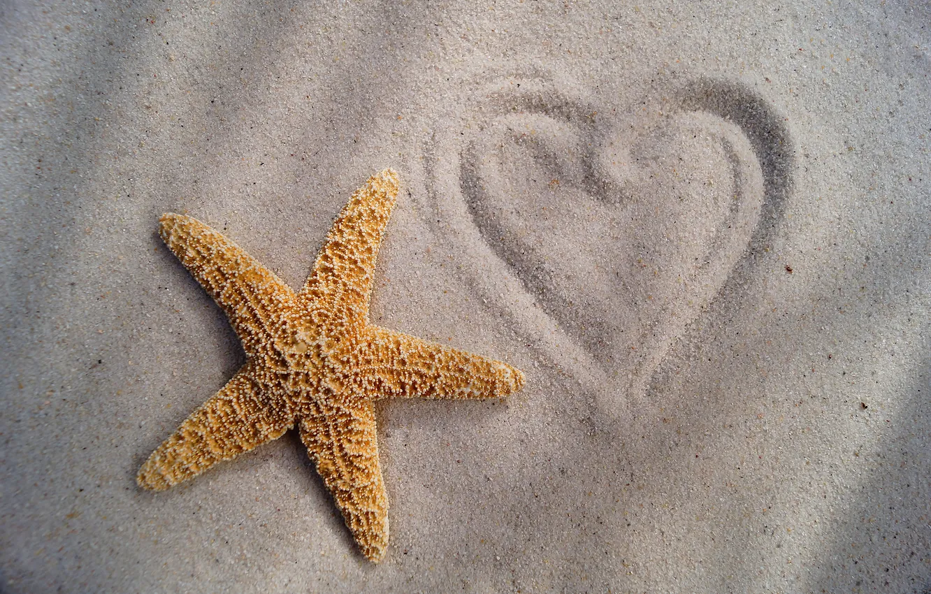 Фото обои песок, рисунок, сердечко, Морская звезда