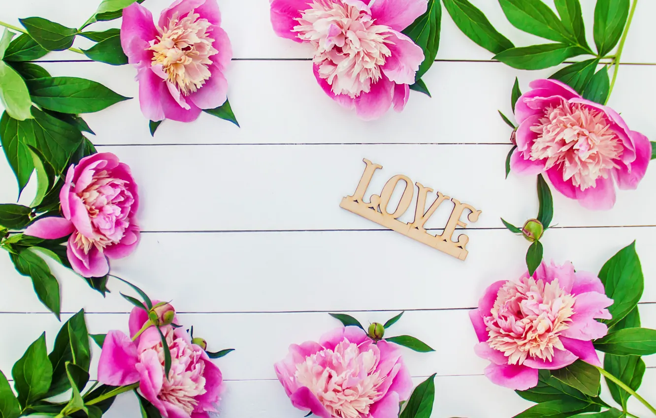 Фото обои цветы, love, розовые, wood, pink, flowers, beautiful, romantic