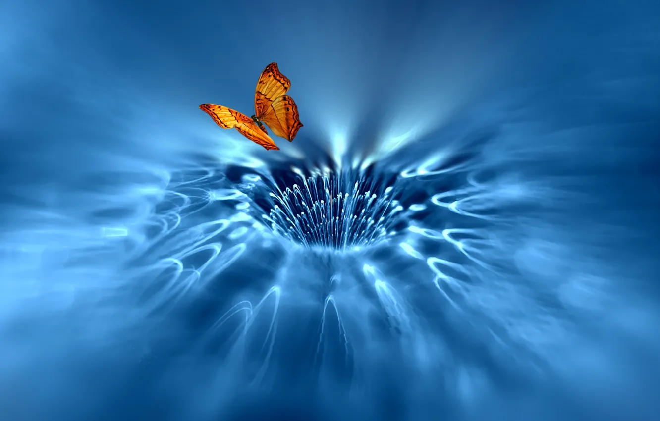 Фото обои бабочка, крылья, поток, арт, сингулярность