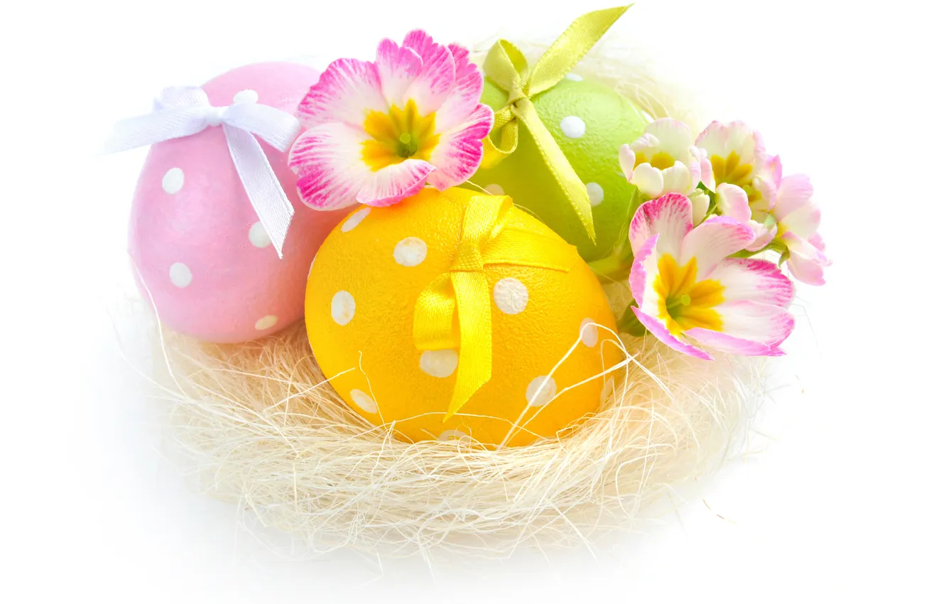 Фото обои цветы, яйца, весна, пасха