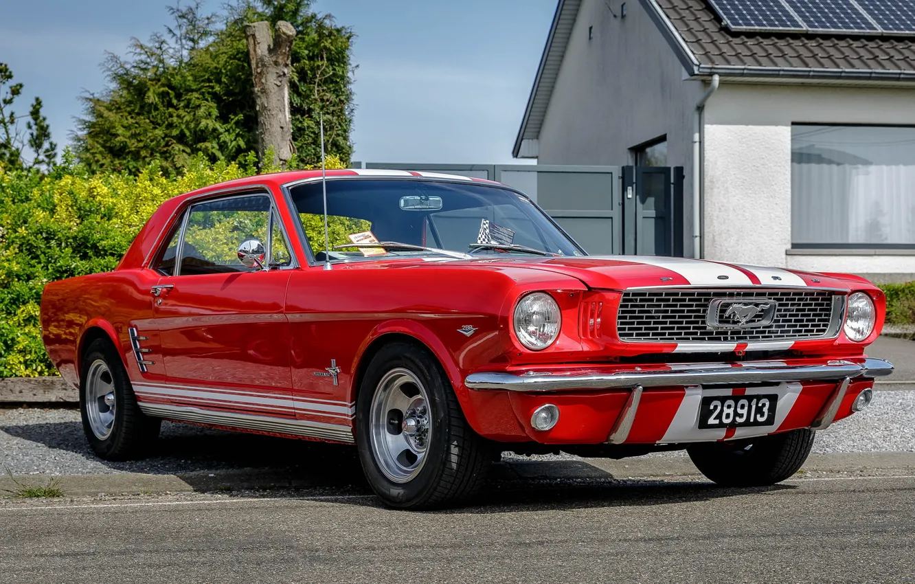 Фото обои Mustang, Ford, Red, White, Stripes