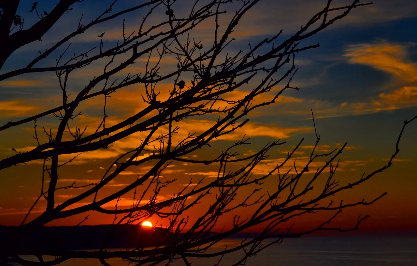 Фото обои sea, Kaliningrad, svetlogorsk