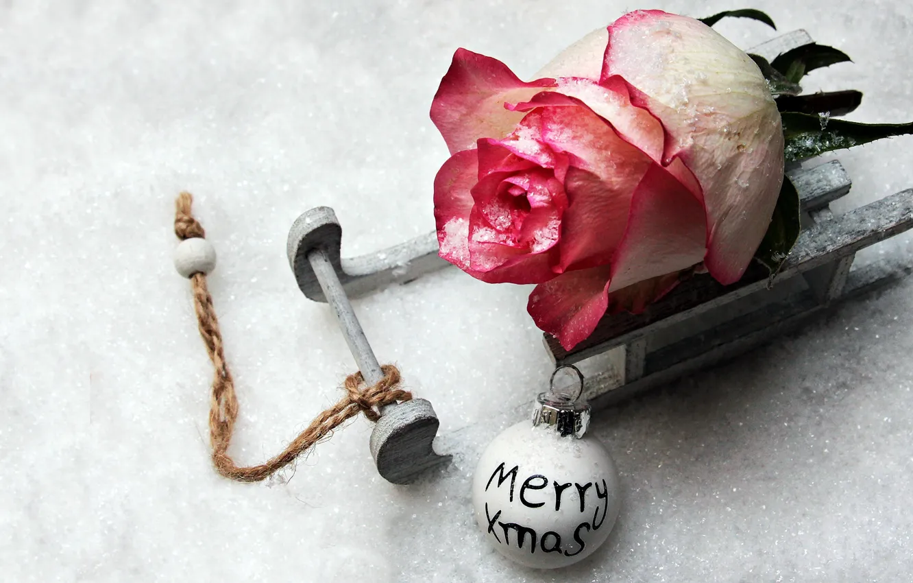 Фото обои rose, winter, snow, merry christmas, christmas ball