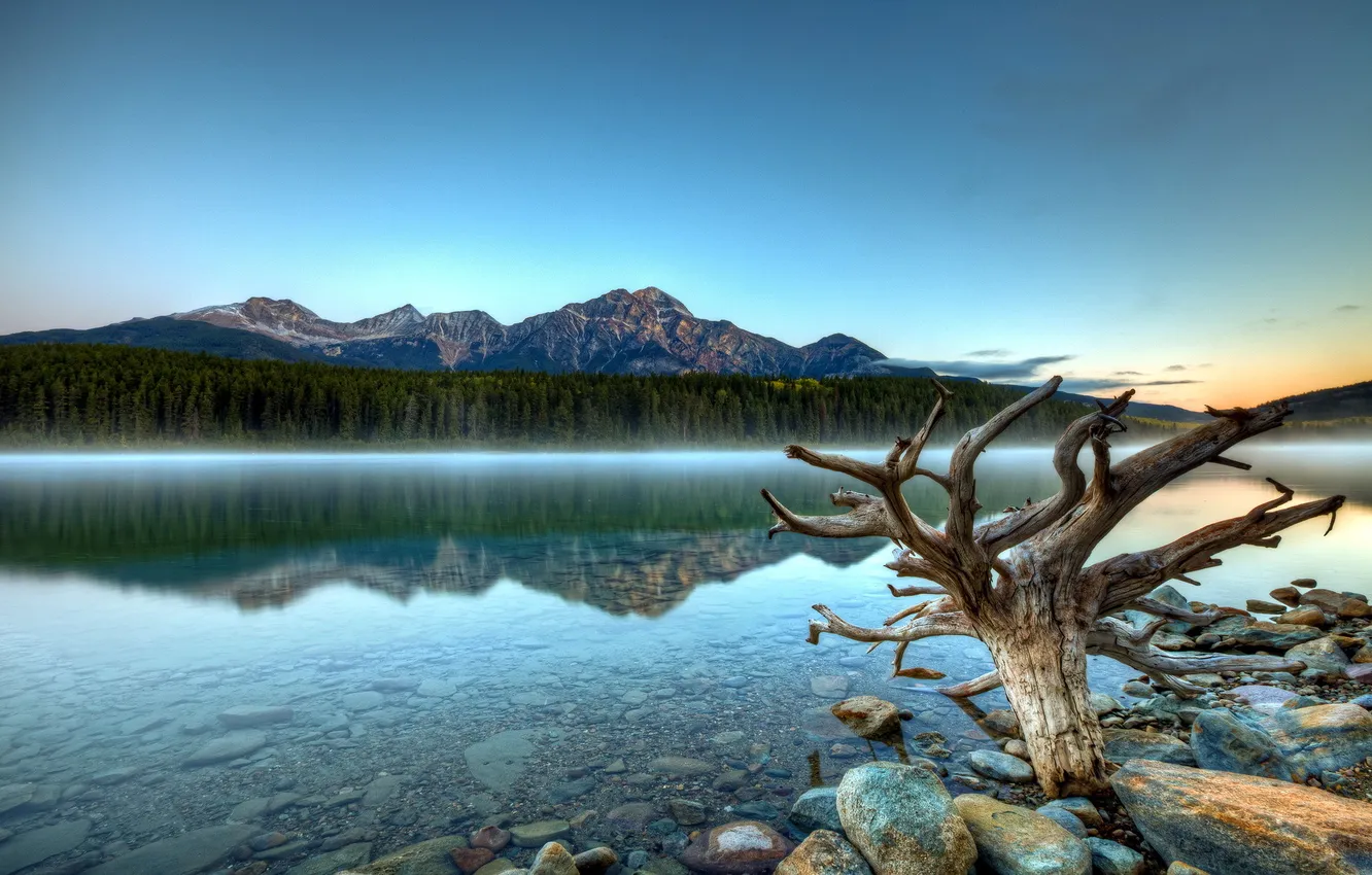 Фото обои горы, туман, Patricia Lake