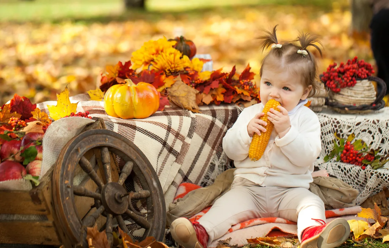 Фото обои осень, парк, ребенок, кукуруза, девочка, тыква