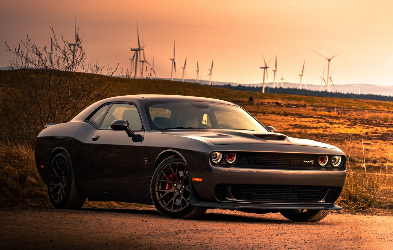 Фото обои dodge, sunset, challenger, srt hellcat