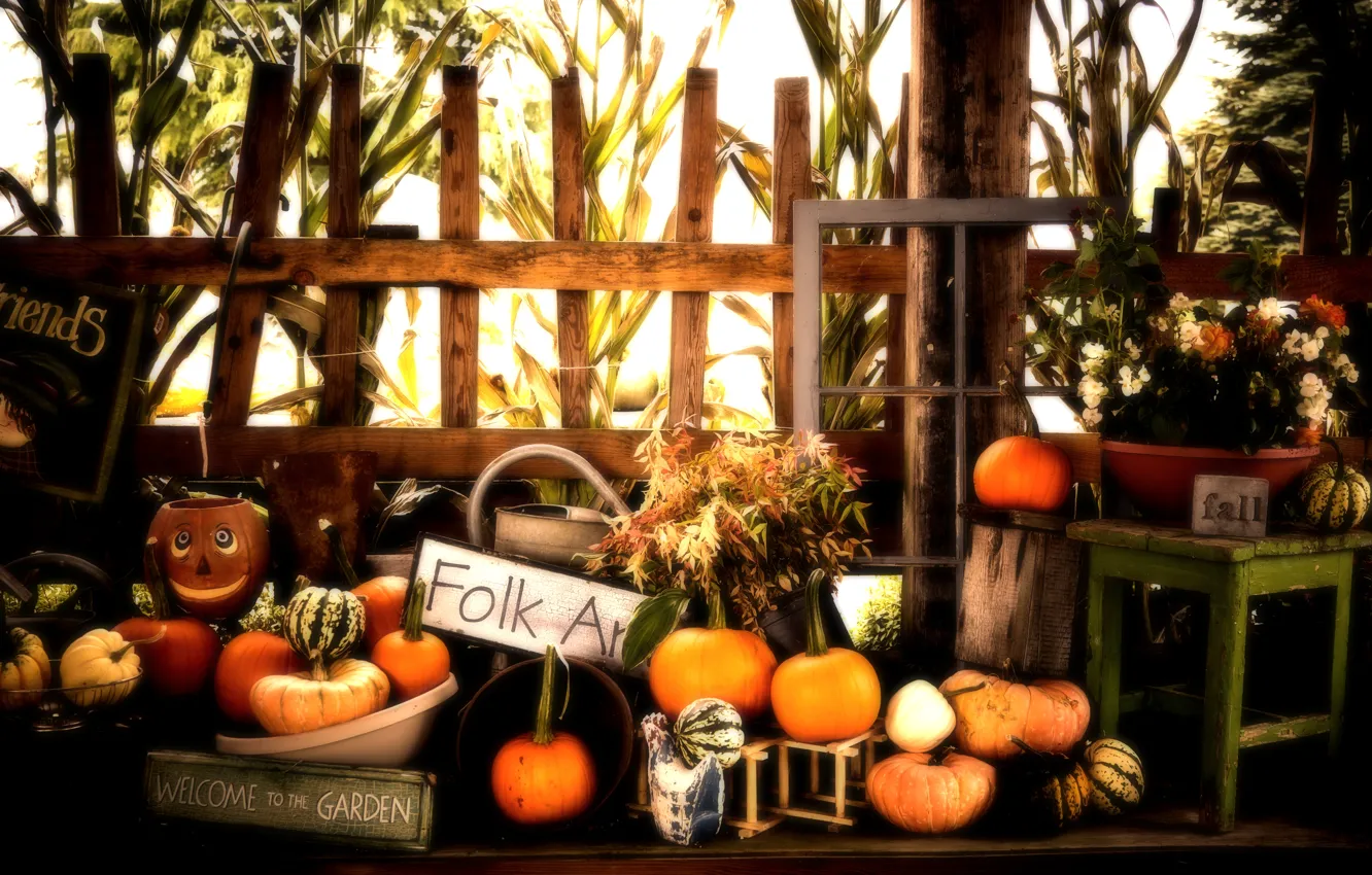 Фото обои Halloween, Pumpkins, Fall, Autumn