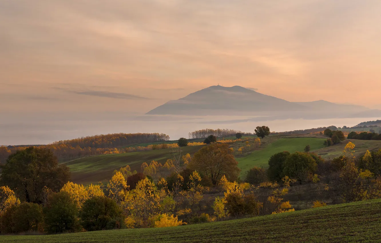 Фото обои поле, осень, лес, небо, облака, деревья, горы, туман