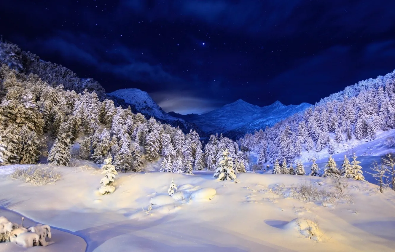 Фото обои зима, лес, снег, горы, звёзды, ёлки