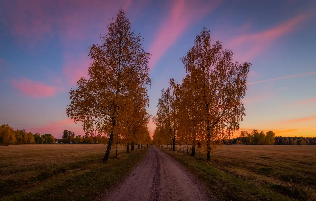 Фото обои дорога, поле, осень, небо, облака, деревья, пейзаж, закат
