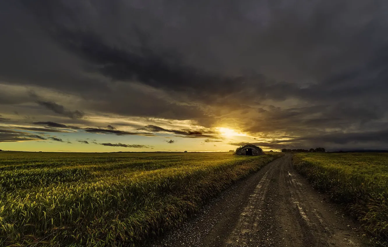 Фото обои дорога, поле, закат