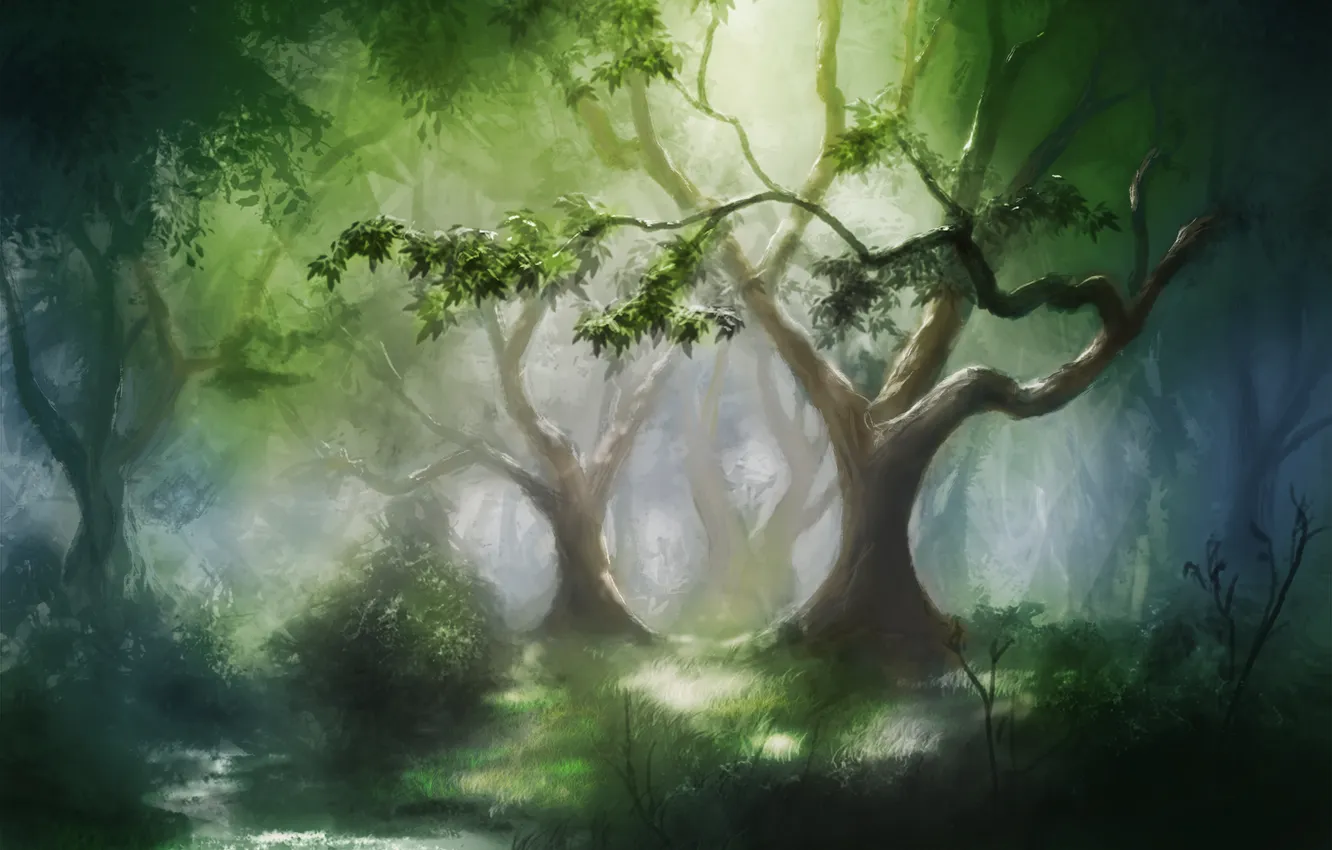 Фото обои лес, деревья, природа, ручей, арт