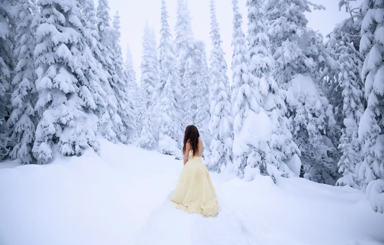 Фото обои холод, лес, девушка, снег, платье, Lichon