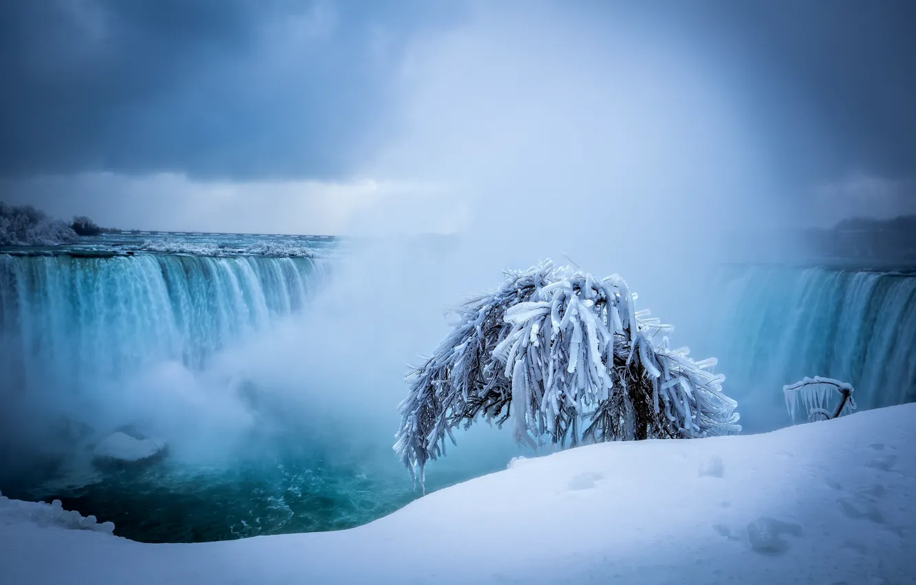 Фото обои зима, снег, дерево, водопад, Ниагарский водопад, Niagara Falls