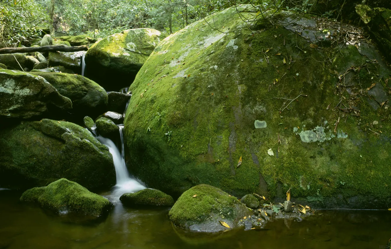 Фото обои камни, водопад, мох