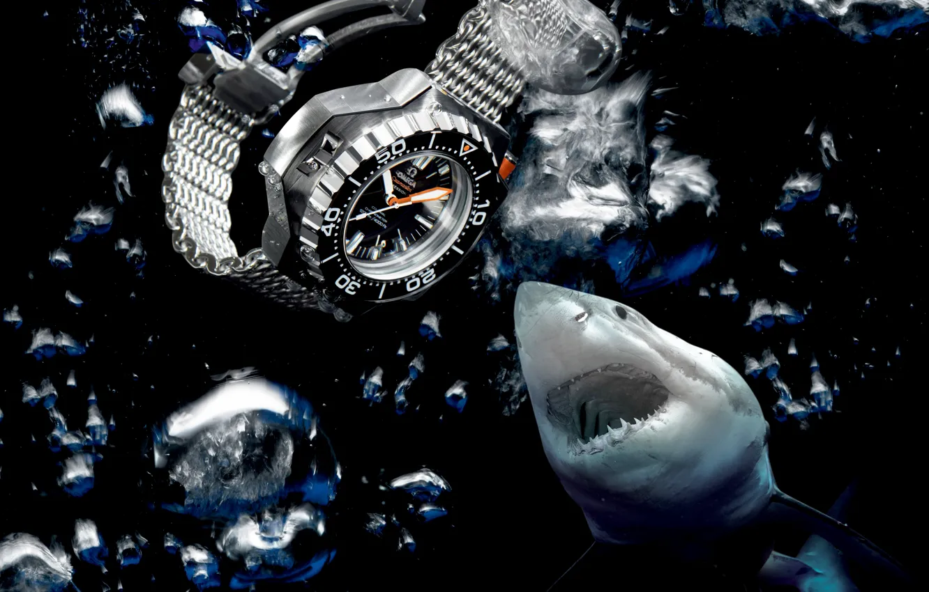 Фото обои вода, акула, Часы, Omega, Seamaster, 1200M, Ploprof