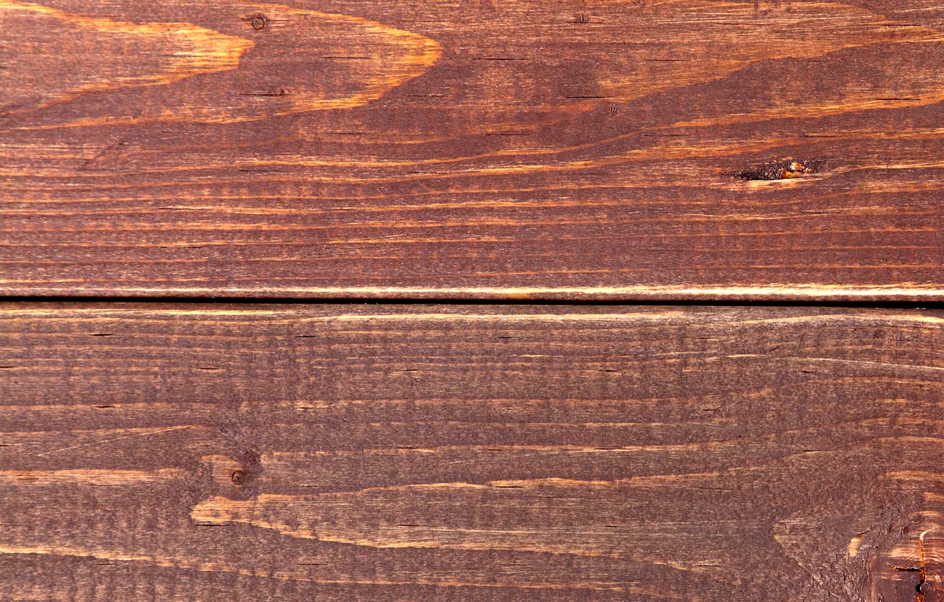 Фото обои деревья, доски, цвет, структура