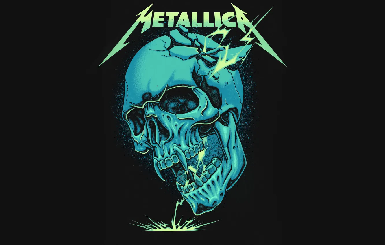 Фото обои music, metallica, heavy metal, banner, heavy rock