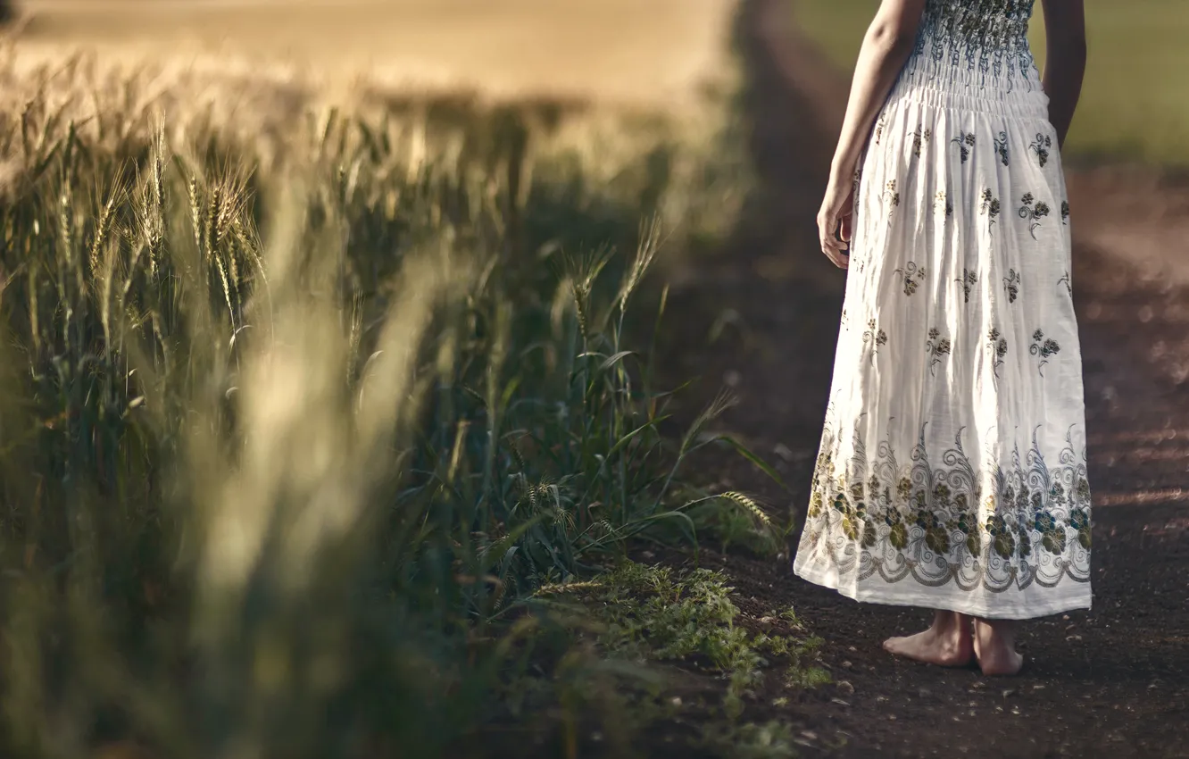 Фото обои поле, девушка, платье, колосья