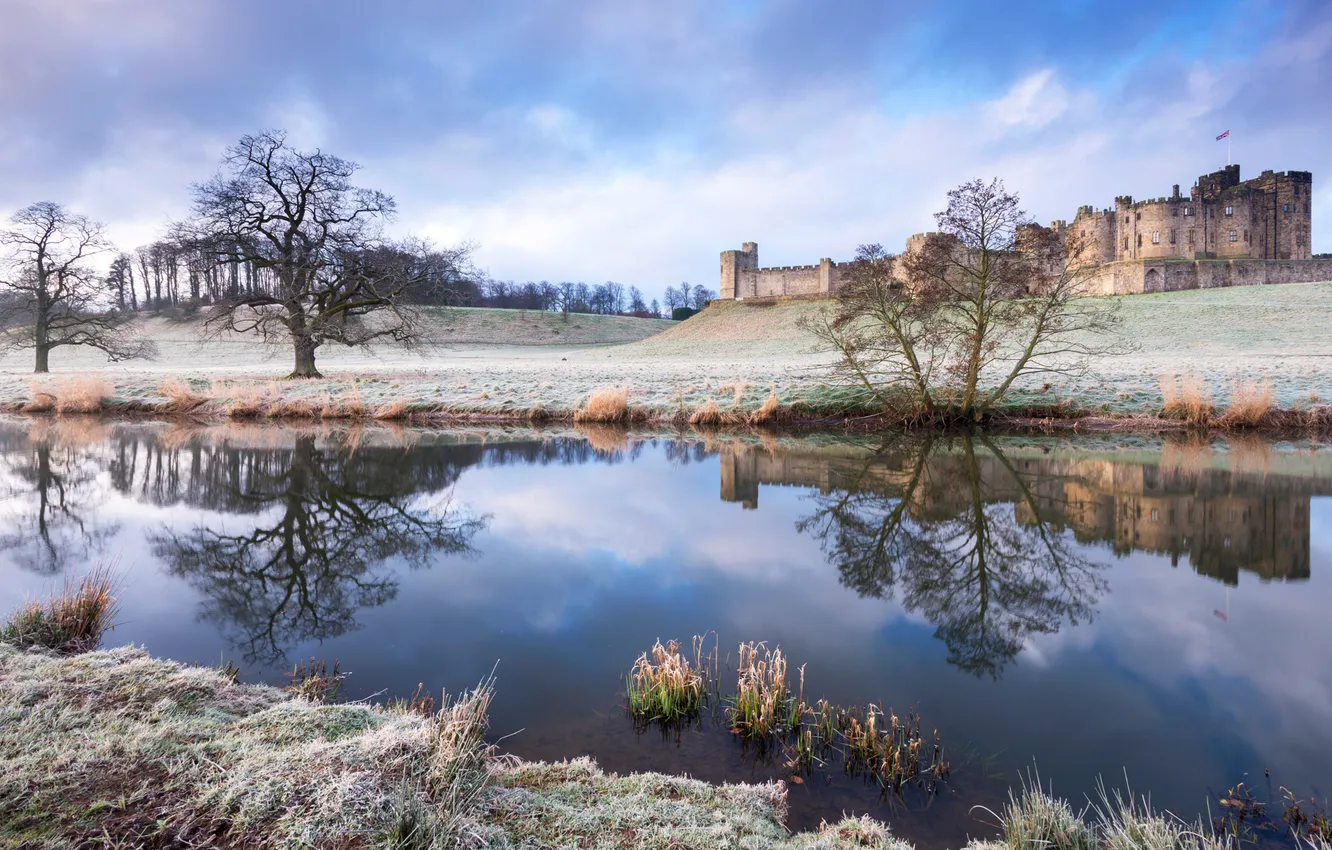 Фото обои зима, иней, замок, Англия, Нортумберленд, Алник