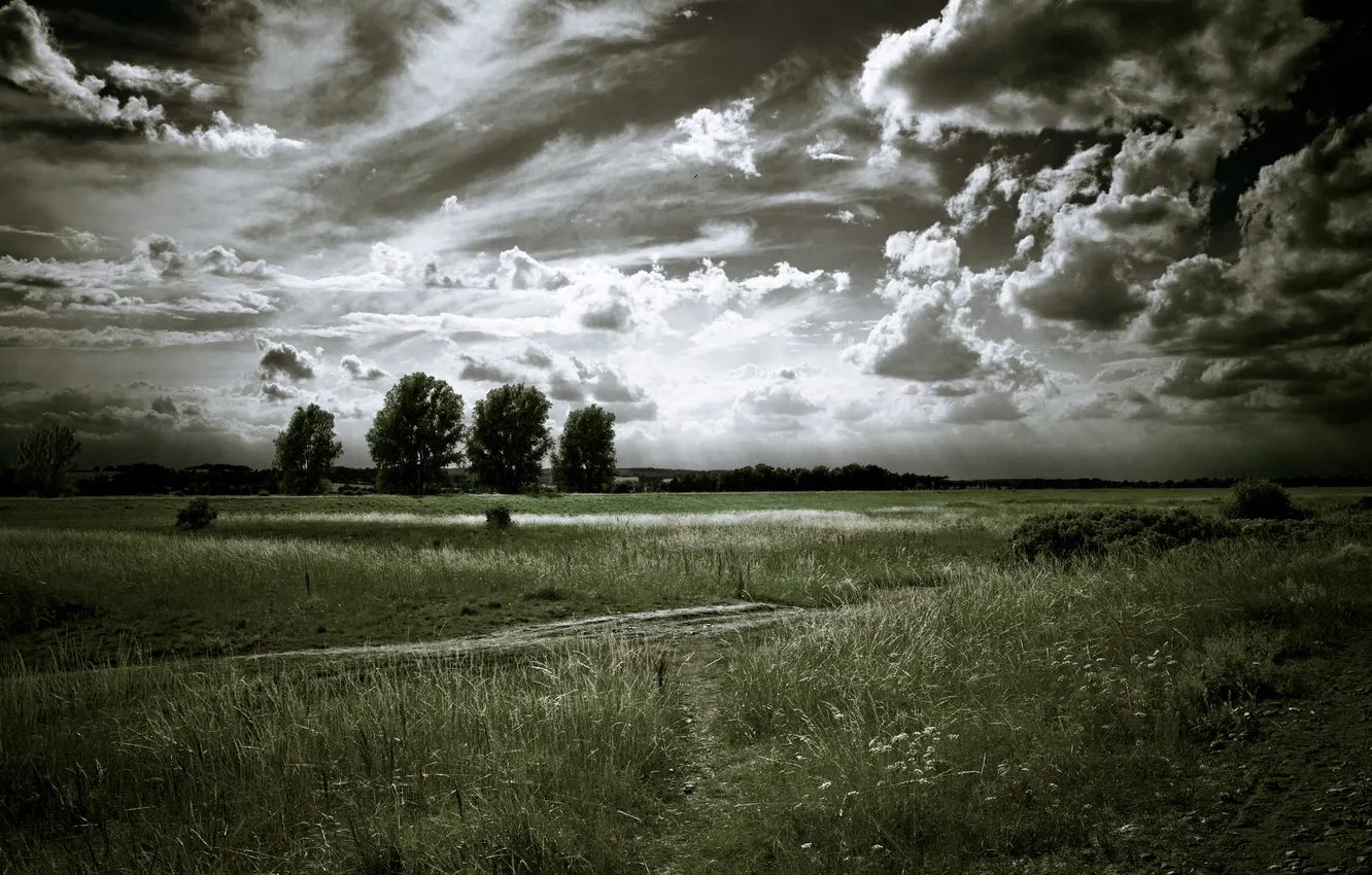 Фото обои дорога, поле, небо, облака, деревья, пейзаж, природа