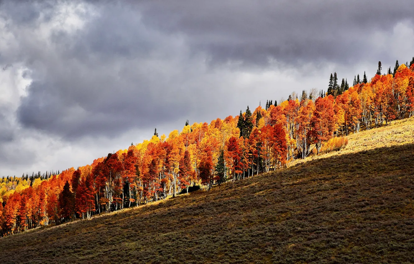 Фото обои autumn, hill, orange, autumn colors, sunlight, countryside, shadow, fall