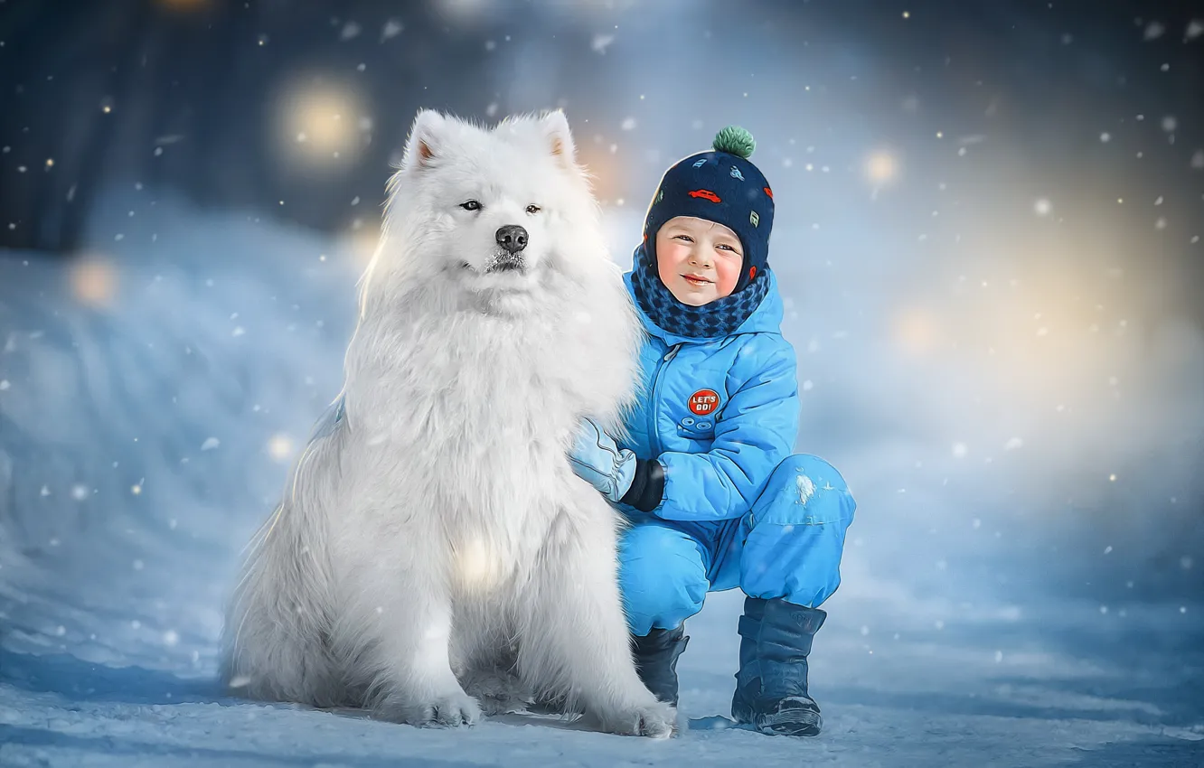 Фото обои зима, снег, животное, собака, мальчик, ребёнок, пёс, самоед