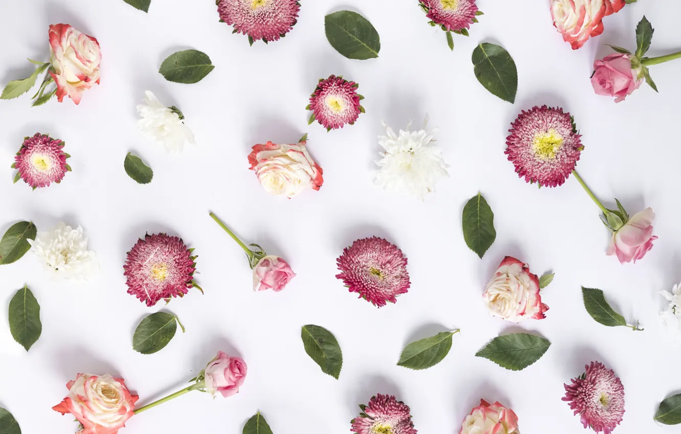 Фото обои цветы, фон, розы, розовые, бутоны, pink, flowers, background