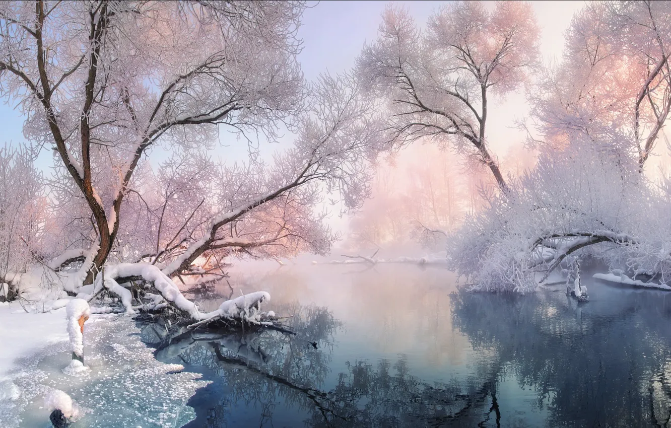 Фото обои зима, иней, снег, деревья, пейзаж, природа, река, Беларусь