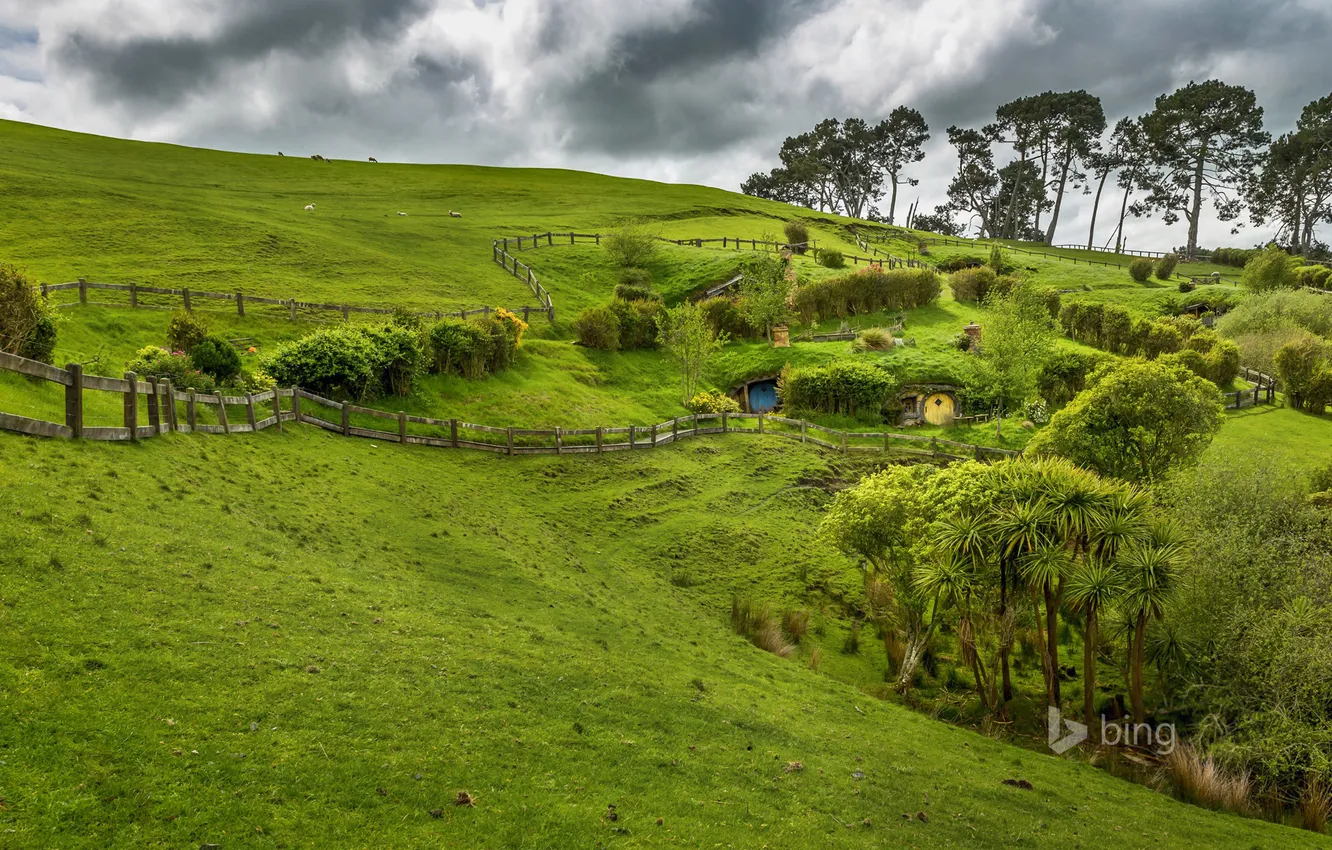 Фото обои трава, деревья, забор, склон, Новая Зеландия, Северный остров, Матамат