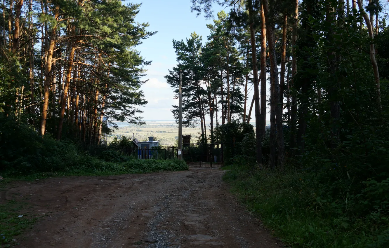 Фото обои forest, road, field, nature, mountain