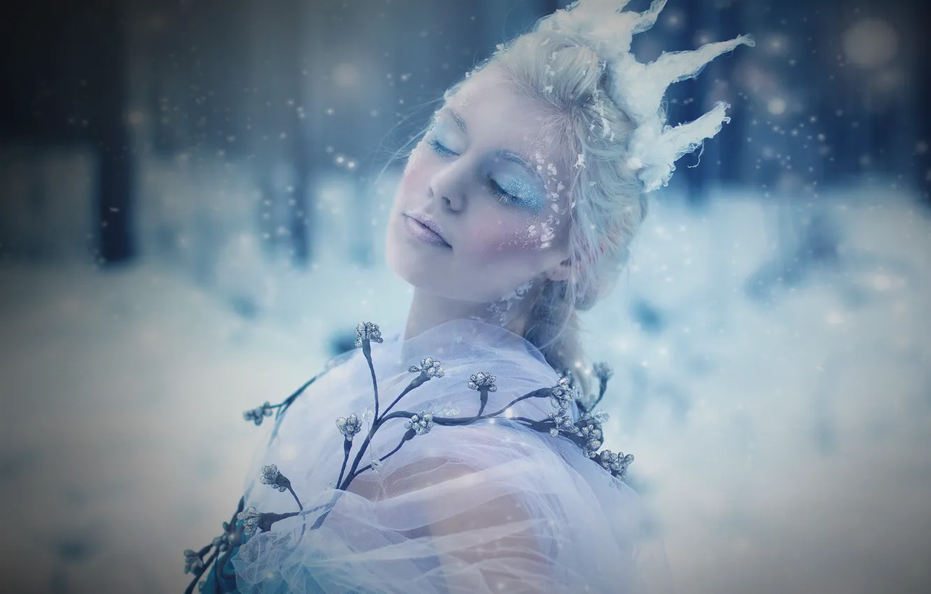 Фото обои холод, лед, девушка, снег, цветы, корона, Frozen, снежная