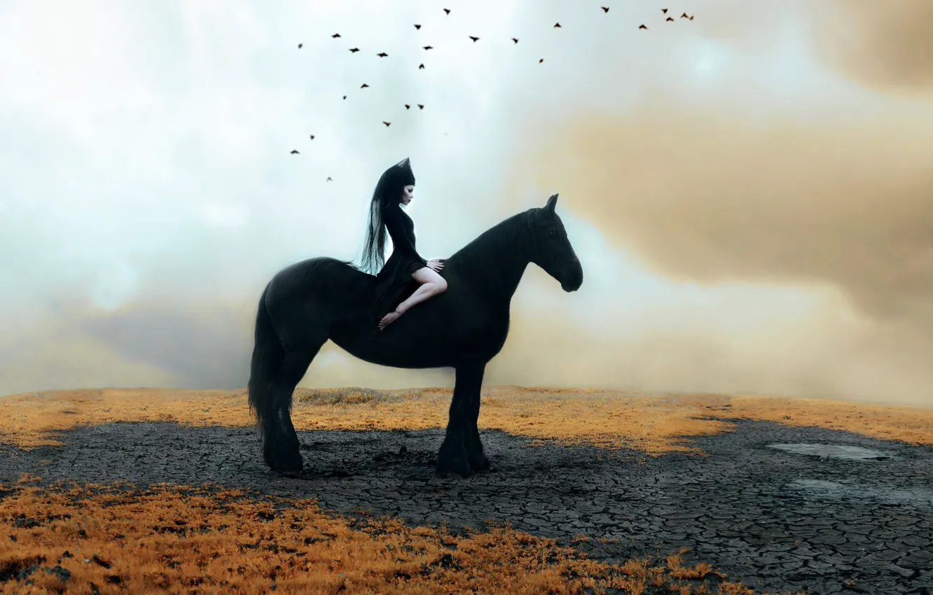 Фото обои девушка, лошадь, Kindra Nikole, нездница
