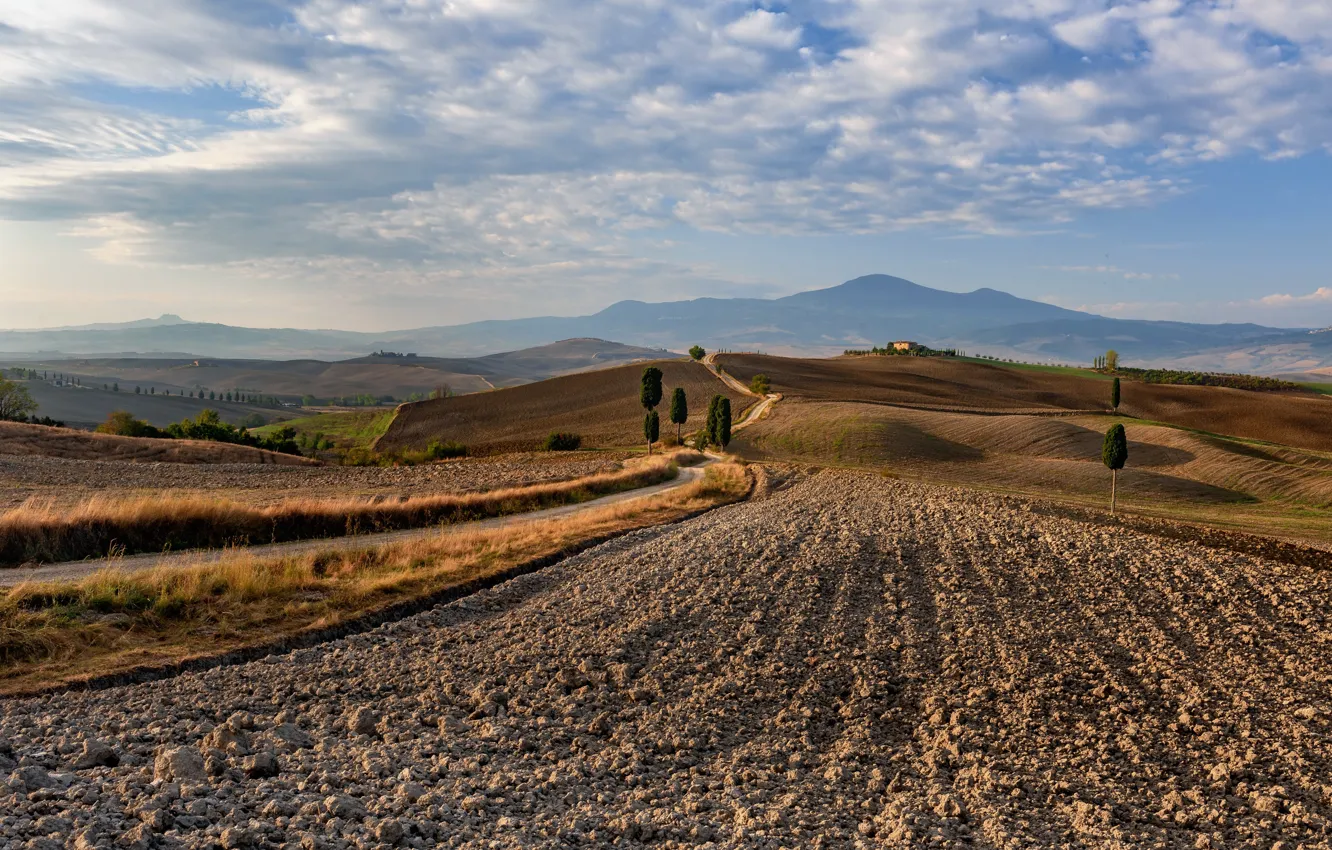 Фото обои Pienza, Tuscany, The long way home