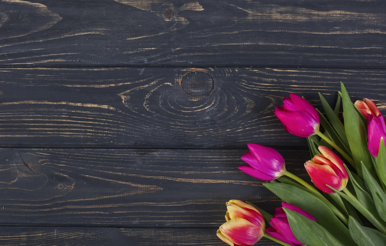 Фото обои цветы, colorful, тюльпаны, розовые, wood, pink, flowers, tulips