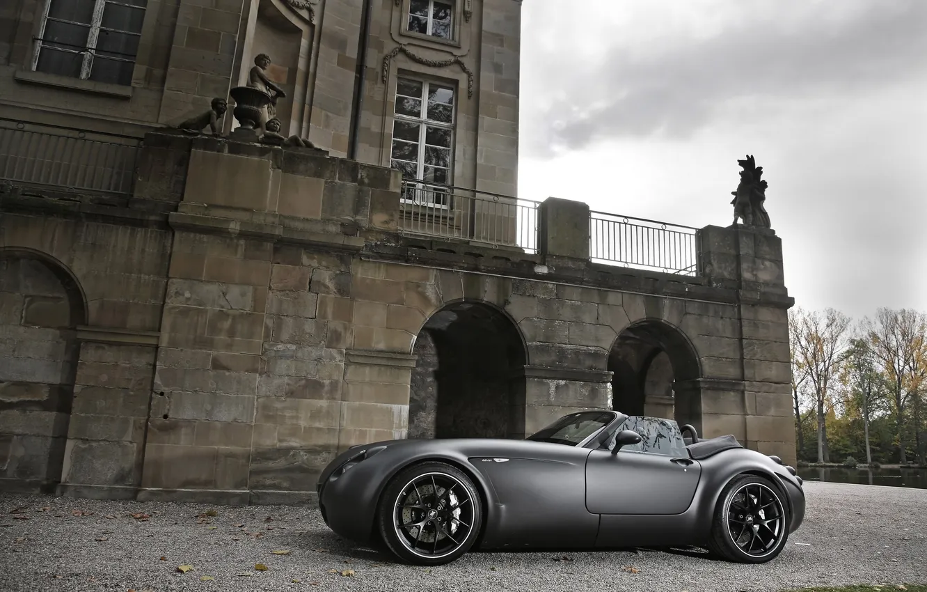 Фото обои car, машины, Wiesmann, Black, Bat