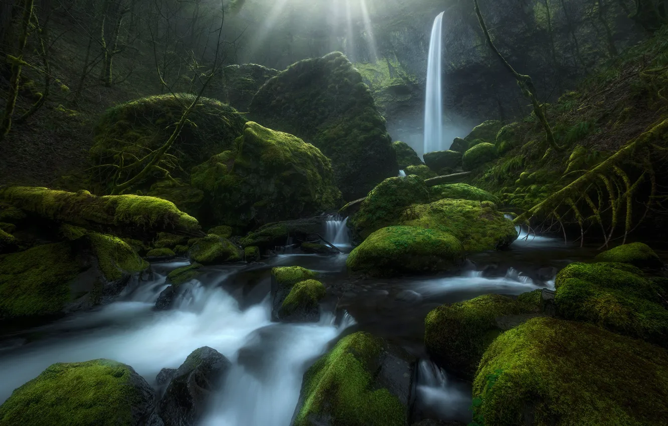 Фото обои ручей, камни, водопад, мох, Орегон, Oregon, Columbia River Gorge, Elowah Falls