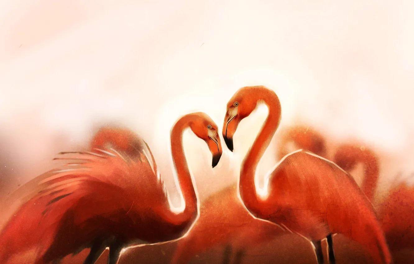 Фото обои птицы, art, flamingo