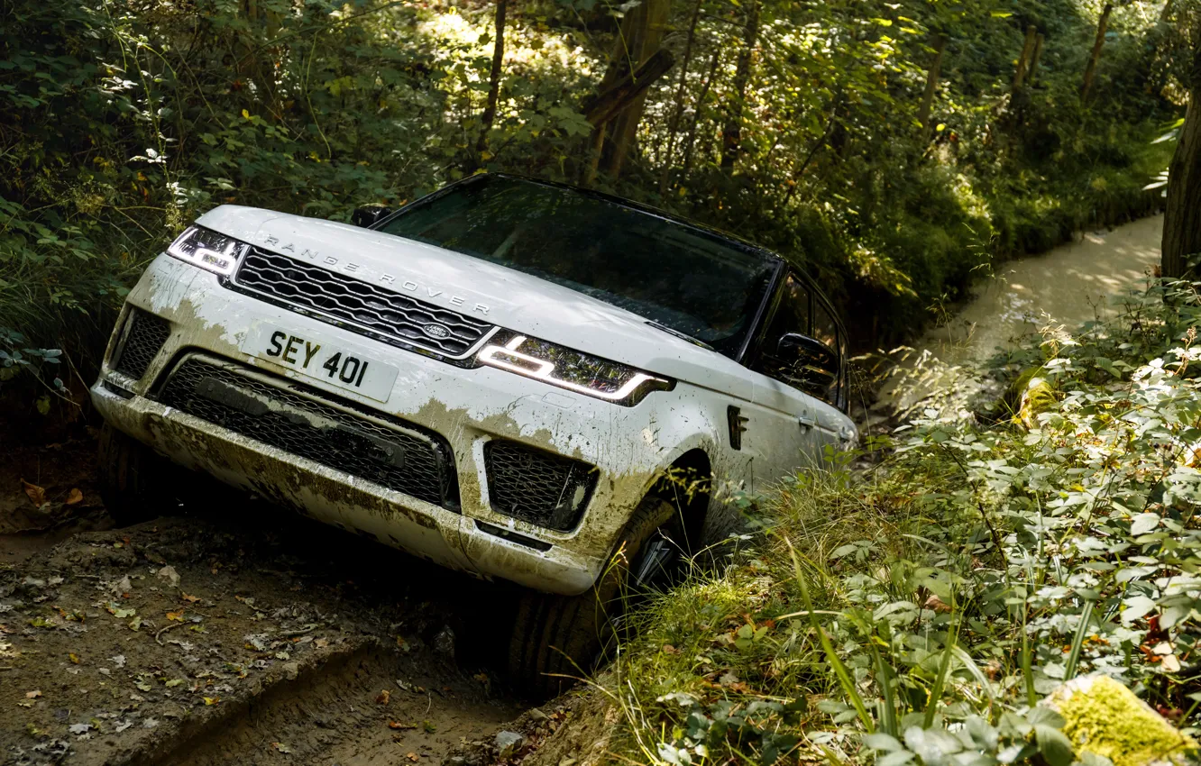 Фото обои дорога, лес, растения, лужа, грязь, колея, Land Rover, чёрно-белый