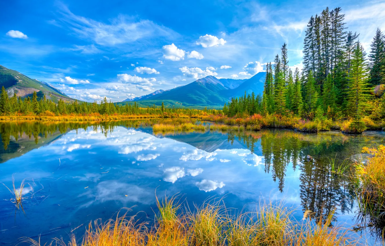 Фото обои осень, небо, деревья, горы, озеро, Канада, Альберта, Banff National Park