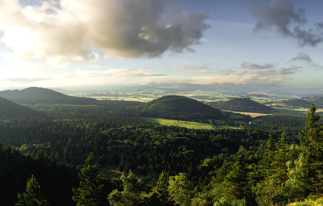 Фото обои зелень, лес, небо, облака, деревья, горы, зеленый, туман