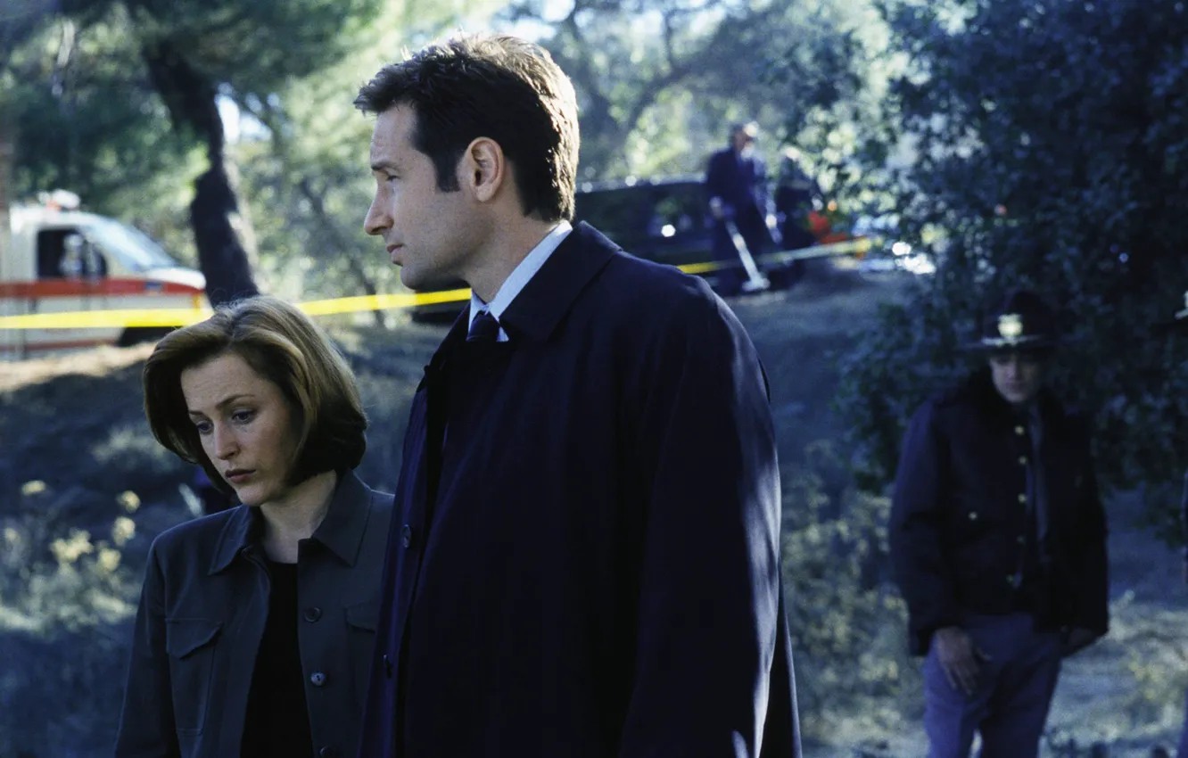 Фото обои сериал, The X-Files, фокс, Секретные материалы, дана