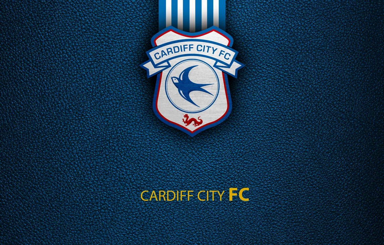 Фото обои wallpaper, sport, logo, football, English Premier League, Cardiff City