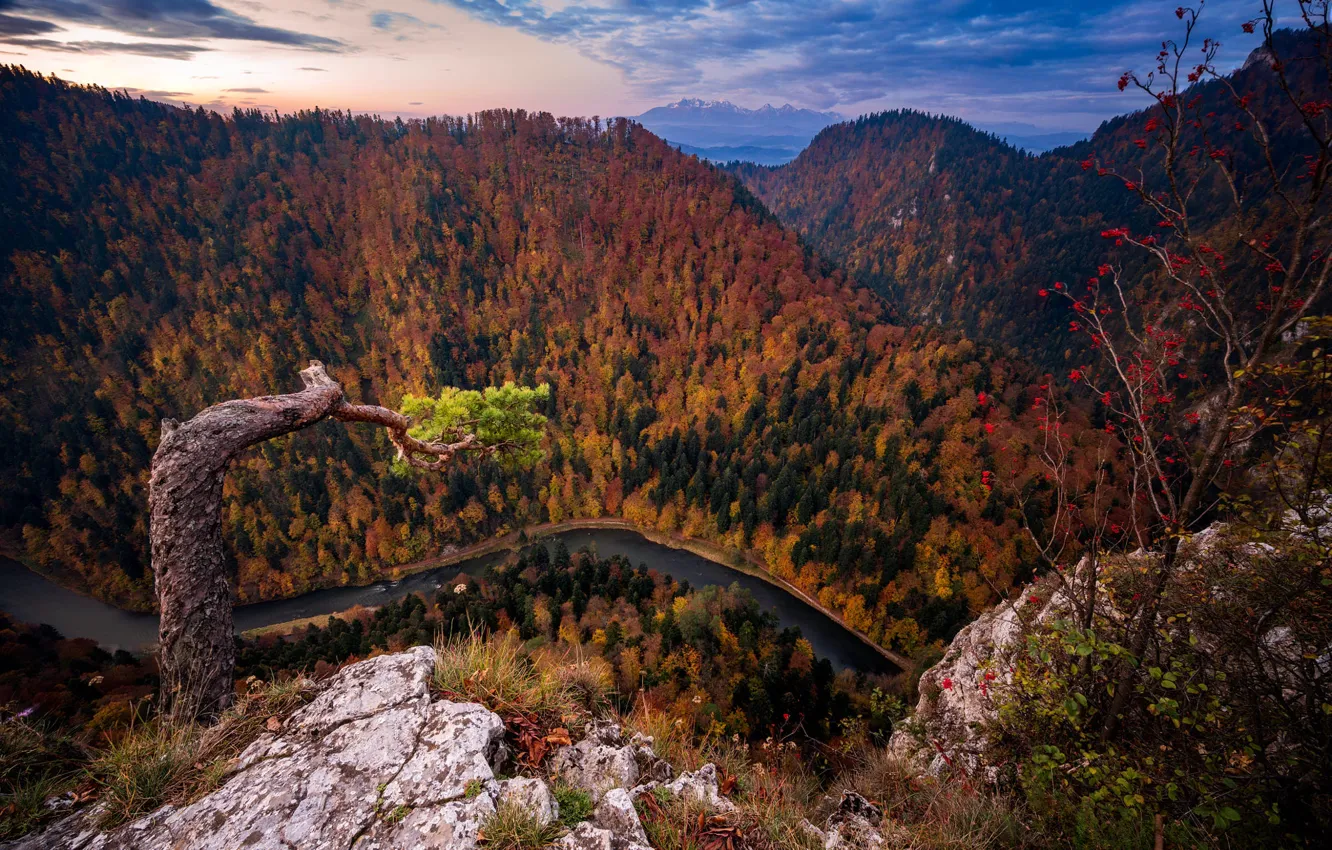 Фото обои осень, лес, облака, деревья, горы, река, обрыв, склоны