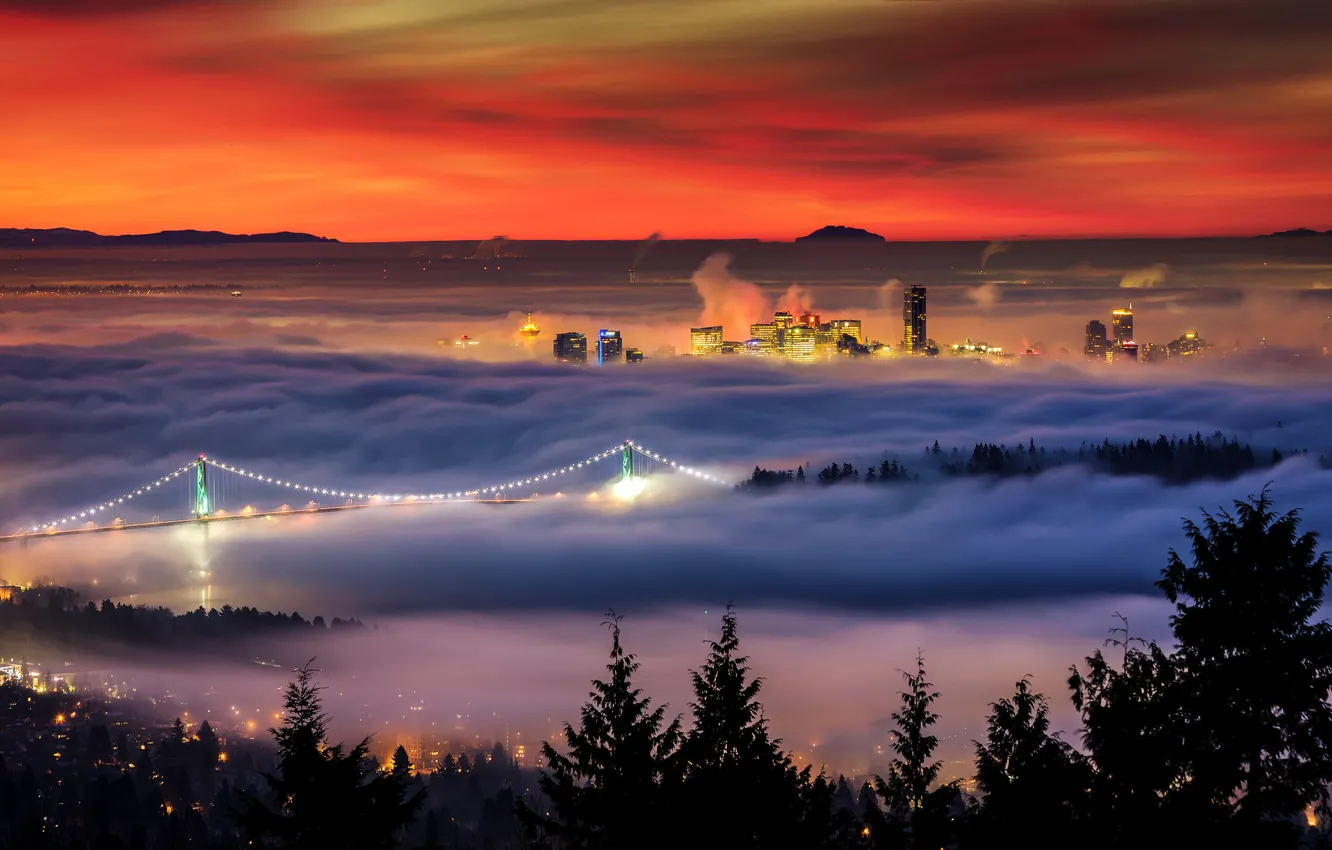 Фото обои зима, мост, огни, туман, дома, утро, Канада, Британская Колумбия