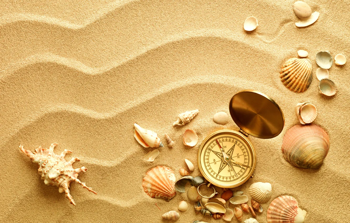 Фото обои песок, ракушки, компас, раковины
