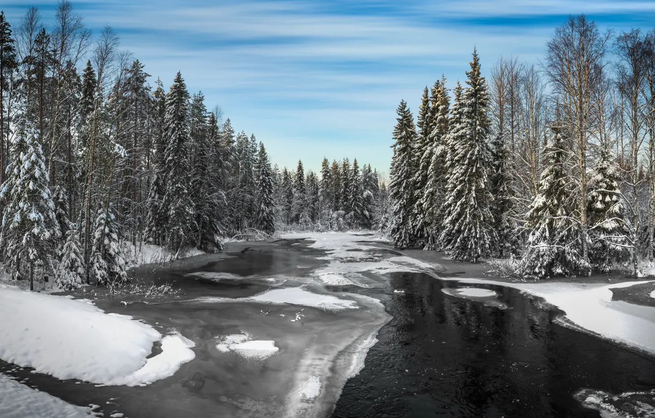 Фото обои зима, лес, река, Winter, river