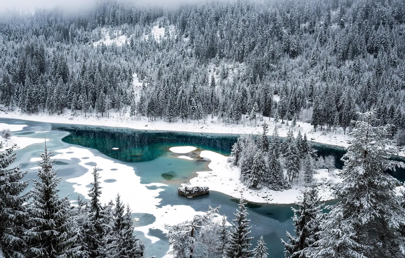 Фото обои лед, зима, лес, снег, озеро