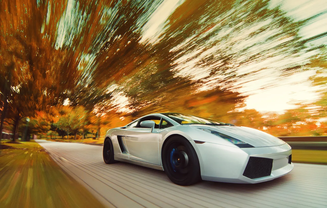 Фото обои дорога, осень, скорость, Lamborghini, Gallardo